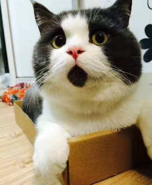 贴秋膘